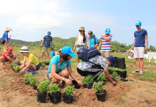 Hoạt động trồng hoa, trồng rau… trên đảo là một trong những trải nghiệm du lịch cộng đồng đã gây được ấn tượng và ý nghĩa đối với những người tham gia.